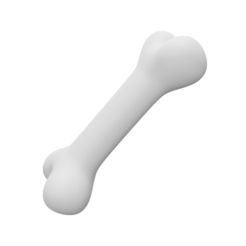 Bone Accessory